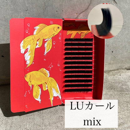 Lift laser lash / LUカール