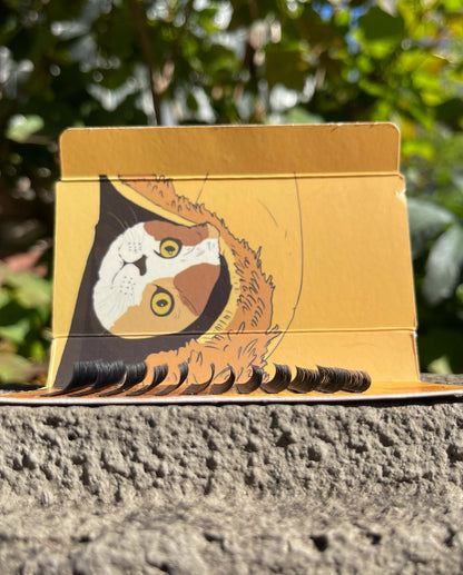 LASER FLAT LASH / Dカール